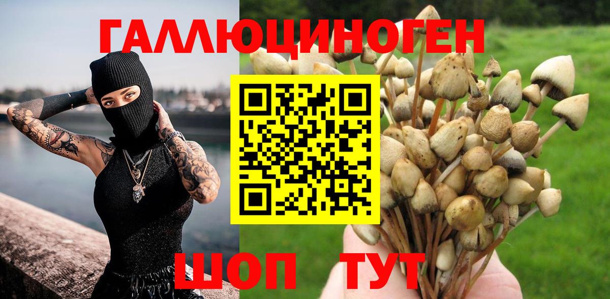 Псилоцибиновые грибы Magic Shrooms  Вход с VPN  как найти закладки  Менделеевск 