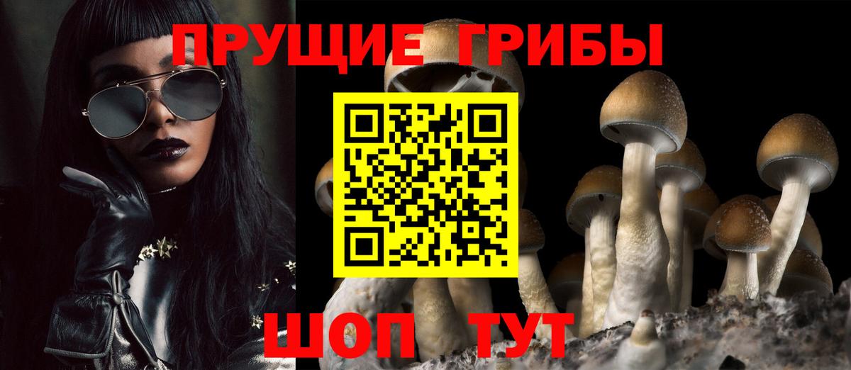 Псилоцибиновые грибы мухоморы Менделеевск